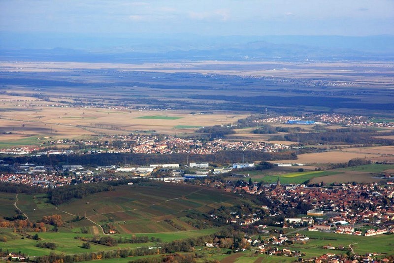 hw 03.jpg - Plaine d'Alsace vue du champ de bataille. Forêt Noire en face.
